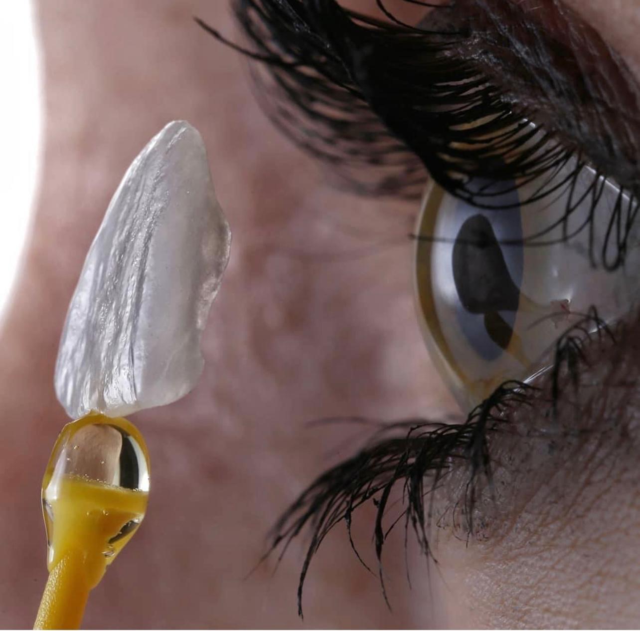 28cafce4-8fe2-4709-b8a0-d5319bc900da